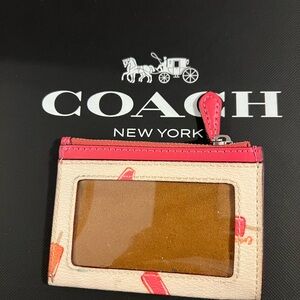 Coach Outlet Mini Skinny Card Case with Popsicle Print